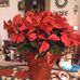 Barbara Schweitzer - Facebook