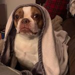 Barbara Schweitzer-Grubb - @grubb4 - Instagram