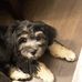 Barbara Schweizer - Facebook