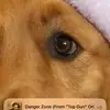 Barbara Schweizer - @barbara.schweizer - TikTok