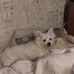 Barbara Schwenke - Facebook