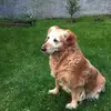 barbara70 - @barbaralascioli - TikTok