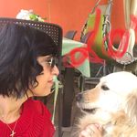 Barbara Lascioli - @lasciolibarbara - Instagram
