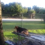 Barbara Scoby - Facebook