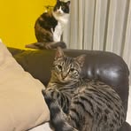 Barbara Scotti - Facebook