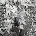 Barbara Scotti - @piccole_storie_di_ogni_giorno - Instagram