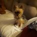 Barbara Scragg-Cousins - Facebook