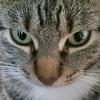 Barbara Scribner - @barbarascribner7450 - TikTok