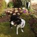 Barbara Scullion - Facebook