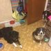 Barbara Sears - Facebook