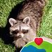 Barbara Sears - Facebook