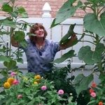 Barbara Sears - @babala379 - Instagram
