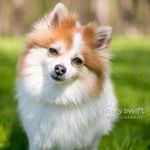 Barbara Seidel Phipps - @bhphipps - Instagram