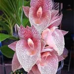 Barbara Serafini - @barbaraserafini75 - Instagram