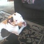 Barbara Ellen Shader - @barbarashader - Instagram