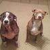 Barbara Shaffer - Facebook