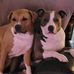 Barb Sheaffer - Facebook