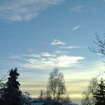 Barbara Shepherd - @barbara.shepherd.71 - Instagram