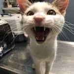 Barbara Ann Shirk - @gypsie.shirk.9 - Instagram