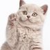 Barbara Shirk - Facebook