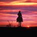 Barbara Shirley - Facebook