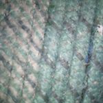 Barbara Shirley - @barbara.shirley.9638 - Instagram