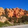 barbarashockley83 - @barbarashockley83 - TikTok