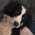 Barbara Shortall - Facebook