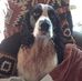 Barbara Shortall - Facebook