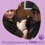 Barbara Shuman - @bshuman2012 - Instagram