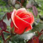 Barbara Shuman - @barbaraanneshuman - Instagram