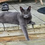 Barbara Shuman McGowan - @sudio33 - Instagram