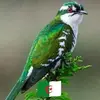 silke - @silkabarbara - TikTok