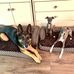 Barbara Silverstein - Facebook