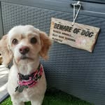 Barbara Sims - @simsbarb1961 - Instagram