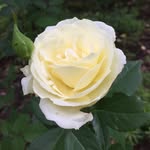Barbara Sims - @barbara.sims.31924 - Instagram