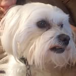 Barbara Sims - @barbara.sims.18 - Instagram