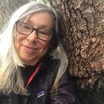Barbara Sinclair - @shewhositswithtrees - Instagram