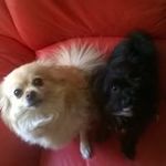 Barbara Singleton - @barbara.singleton.1428 - Instagram