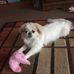 Barbara Singleton - Facebook