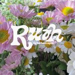 Barbara Sipos - @ruahbybarbaras - Instagram