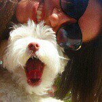 Barbara Sipos - @barbarasipos - Instagram
