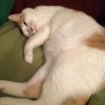 Barbara Barnes Slack - @barbarabarnesslack - Instagram
