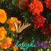 Barbara Slack - Facebook