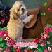 Barbara Sleeper - Facebook