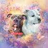 Barbara Gosnell - @barbara.gosnell - TikTok
