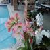 Barbara Snell - Facebook
