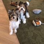 Barbara Snow-Compton - @barbarasnowcompton - Instagram