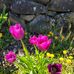 Barbara Snyder - Facebook