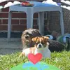 Barbara Snyder - @barbara.snyder4 - TikTok